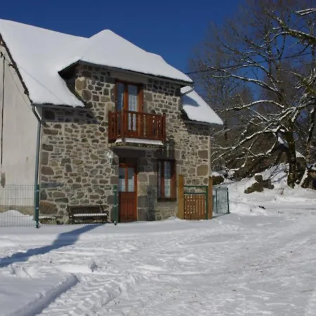 Au Calme Avec Jardin Pres Des Volcans D'auvergne, 2 Chambres, Proche Activites Nature, Animaux Admis - Fr-1-742-426 Tatil Evi Saint-Etienne-de-Chomeil
